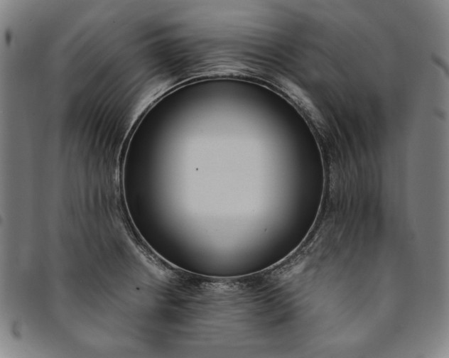 X0000094971234200712131447