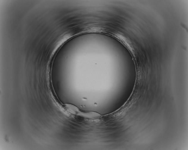 X0000094971235200712131447