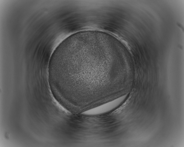 X0000094971239200712131447