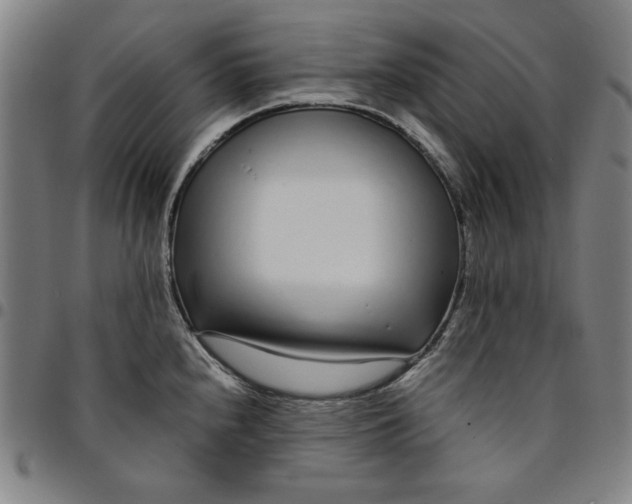 X0000094971240200712131447