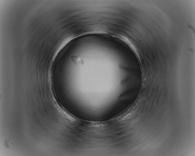 X0000094971243200712131447