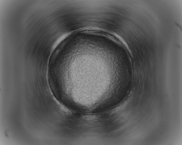 X0000094971245200712131447