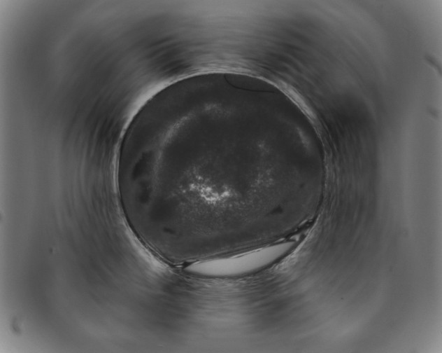 X0000094971246200712131447