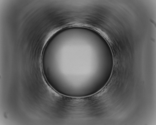 X0000094971247200712131447