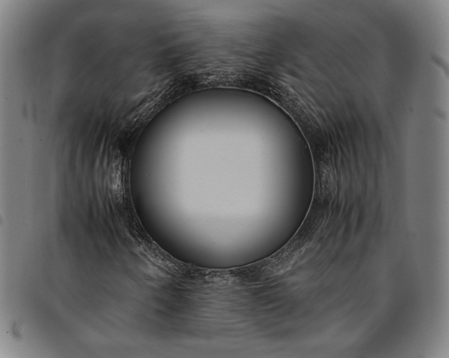 X0000094971250200712131446