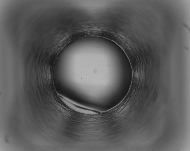 X0000094971252200712131446