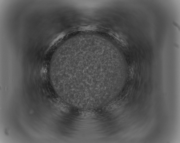 X0000094971254200712131446