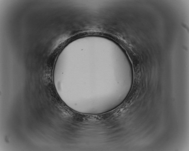 X0000094971255200712131446