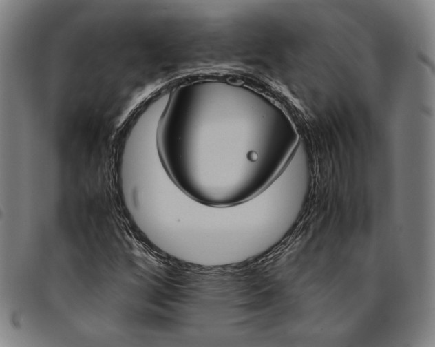 X0000094971256200712131446