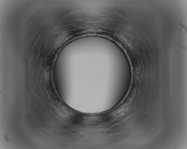 X0000094971257200712131446