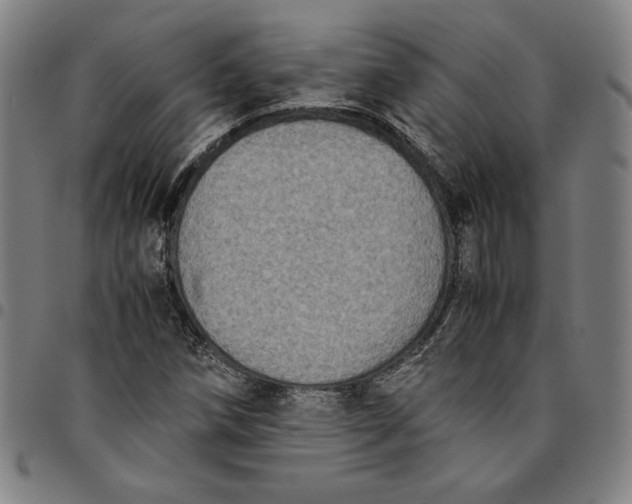 X0000094971258200712131446