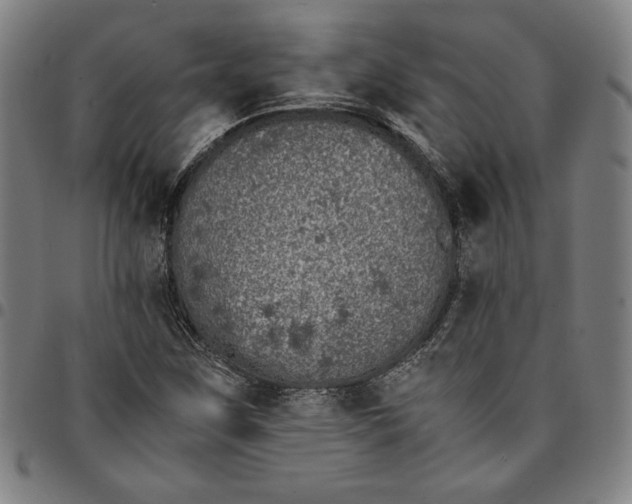 X0000094971259200712131446