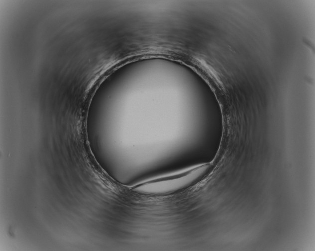 X0000094971260200712131446