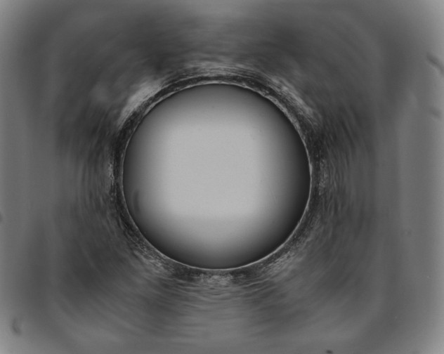 X0000094971261200712131446