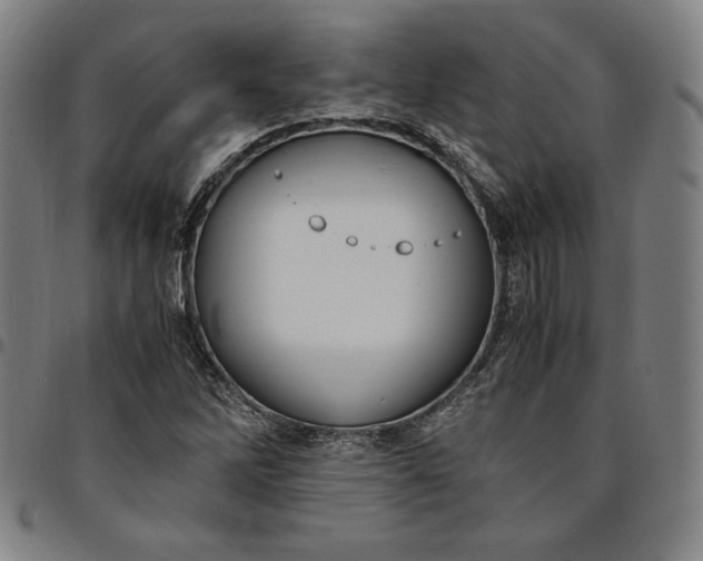 X0000094971262200712131446