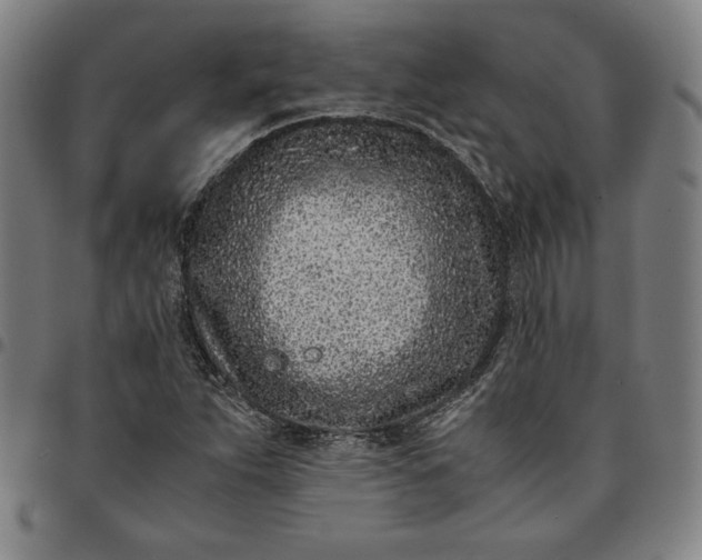 X0000094971263200712131446