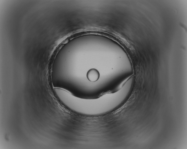 X0000094971264200712131446