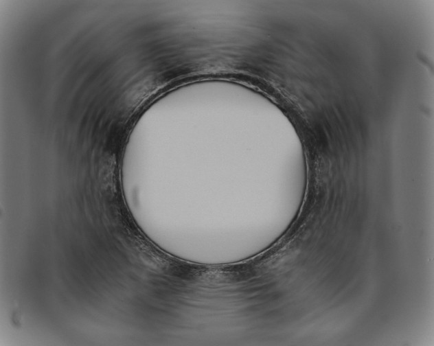 X0000094971265200712131446