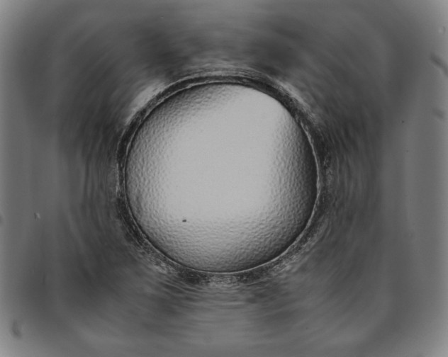 X0000094971267200712131446