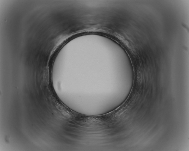 X0000094971270200712131446