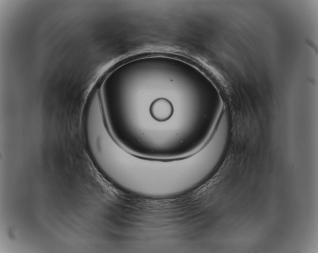 X0000094971272200712131446