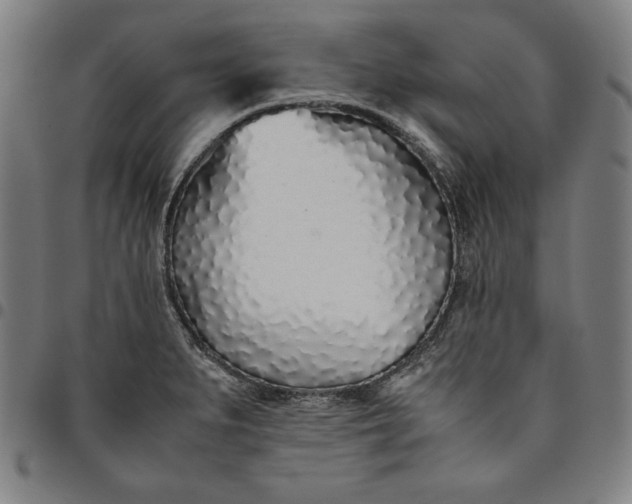 X0000094971279200712131446