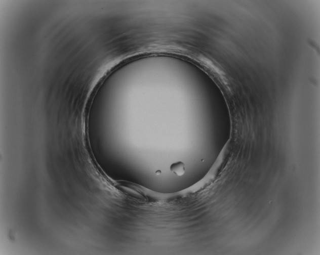 X0000094971280200712131446