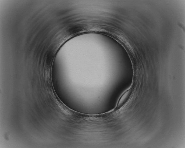 X0000094971281200712131446