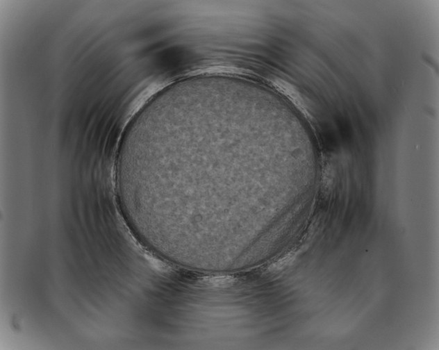 X0000094971282200712131446