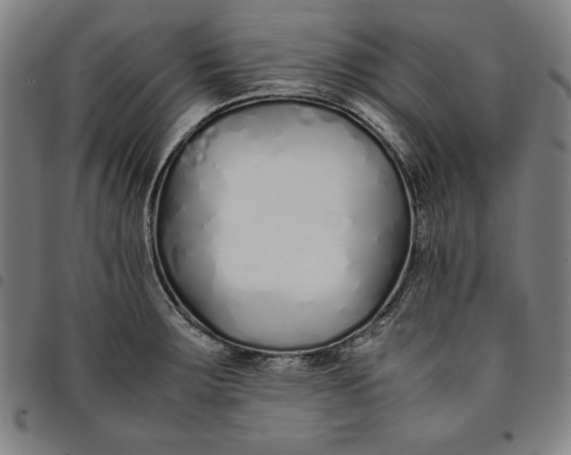 X0000094971283200712131446