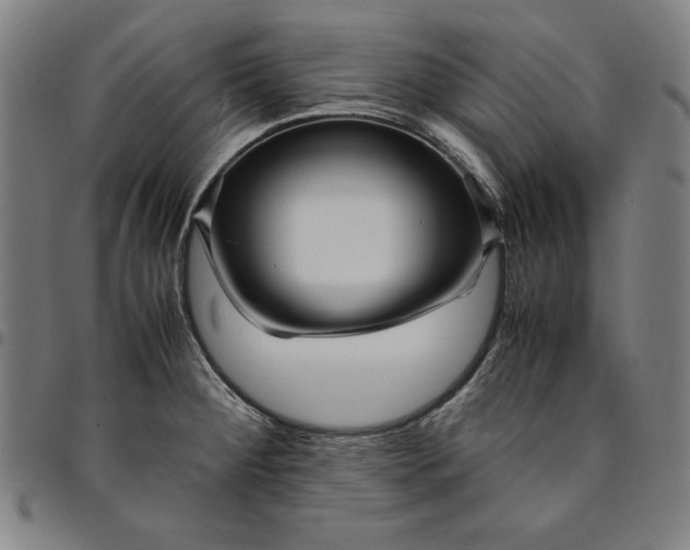 X0000094971284200712131446