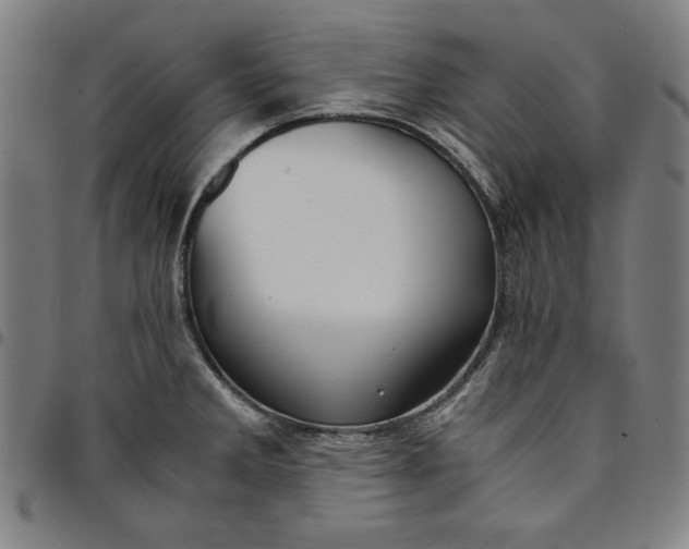 X0000094971285200712131446