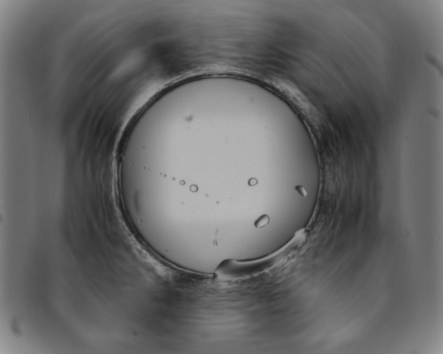 X0000094971286200712131446