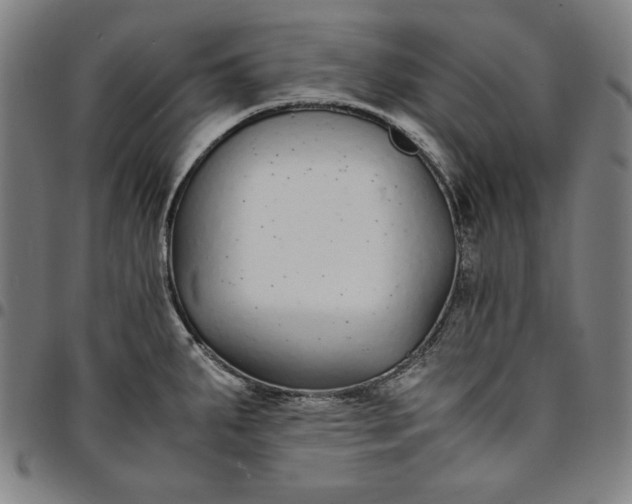 X0000094971287200712131446