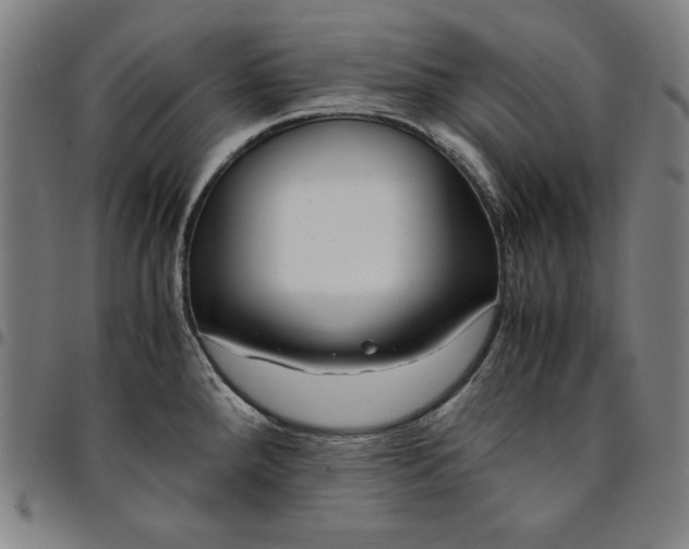 X0000094971288200712131446