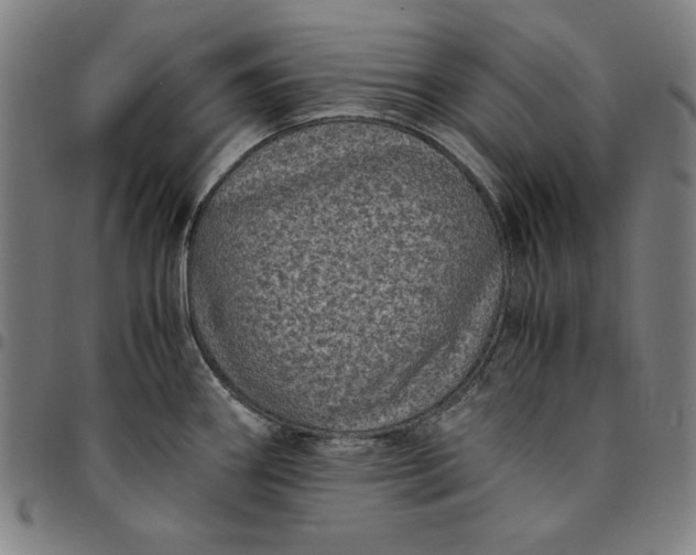 X0000094971290200712131446