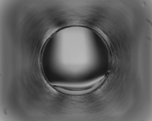 X0000094971293200712131446