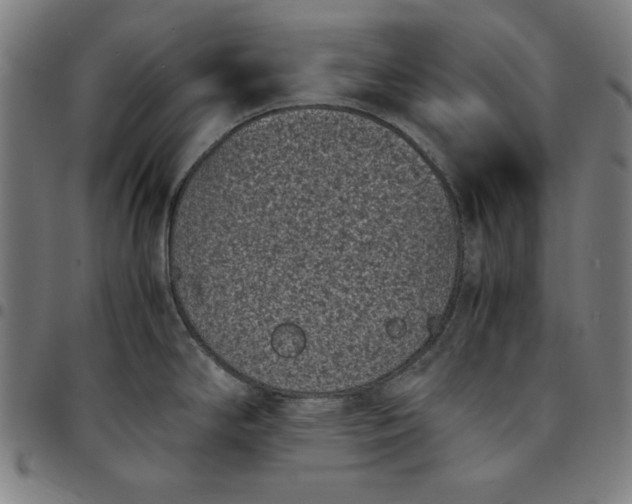 X0000094971294200712131446