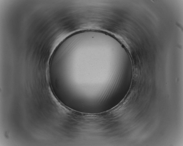 X0000094971295200712131446