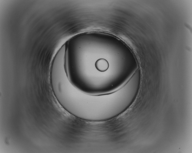 X0000094971296200712131446