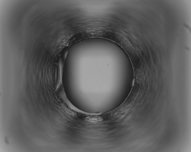 X0000094971298200712131445