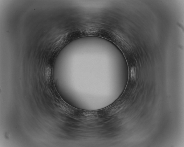 X0000094971299200712131445