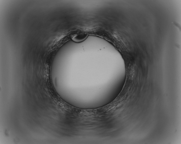 X0000094971301200712131445