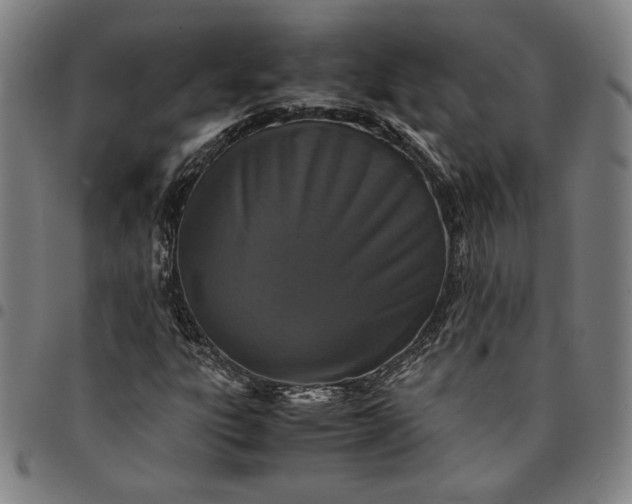 X0000094971303200712131445