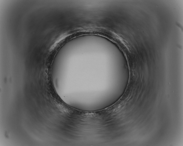 X0000094971304200712131445