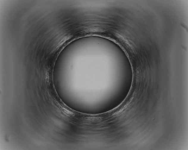 X0000094971305200712131445