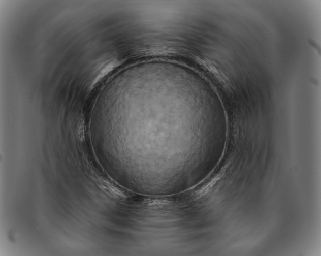 X0000094971306200712131445