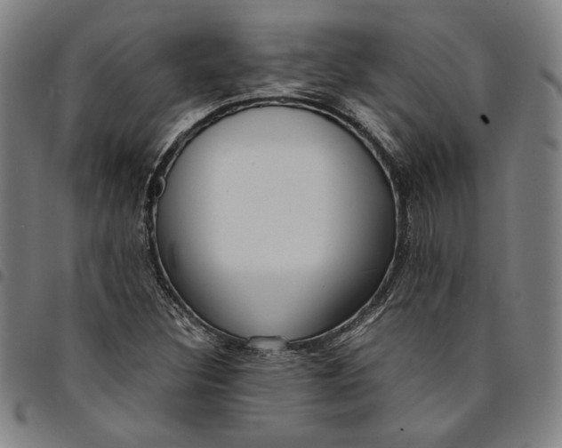 X0000094971308200712131445