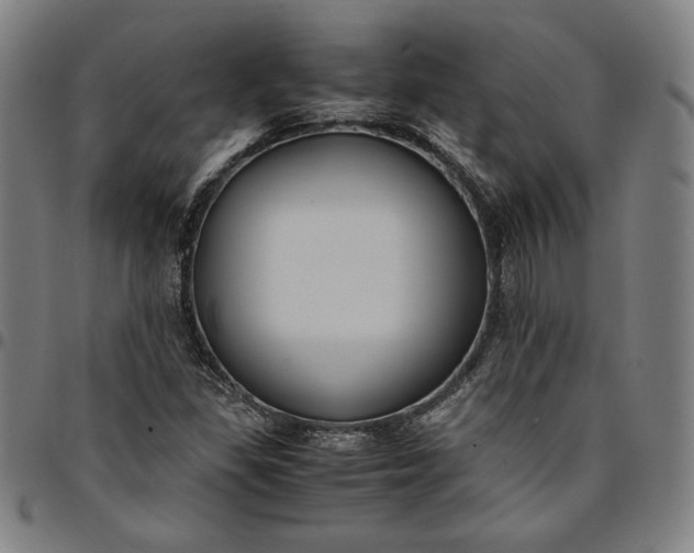 X0000094971309200712131445