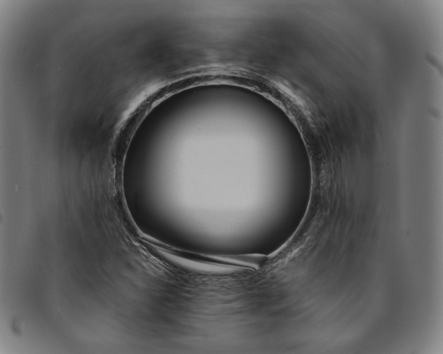 X0000094971310200712131445